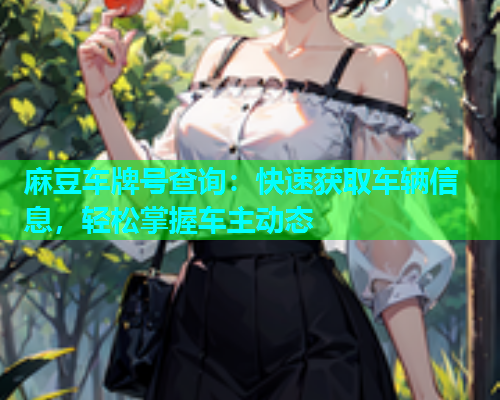 麻豆车牌号查询：快速获取车辆信息，轻松掌握车主动态
