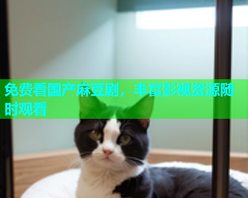 免费看国产麻豆剧，丰富影视资源随时观看