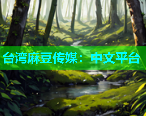 台湾麻豆传媒：中文平台