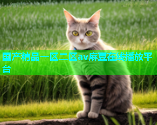 国产精品一区二区av麻豆在线播放平台