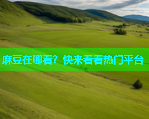 麻豆在哪看？快来看看热门平台