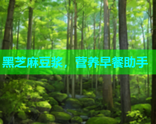 黑芝麻豆浆，营养早餐助手