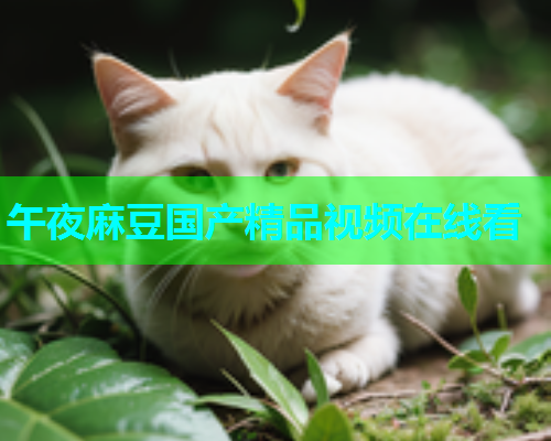 午夜麻豆国产精品视频在线看