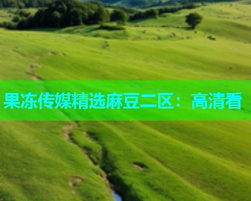 果冻传媒精选麻豆二区：高清看