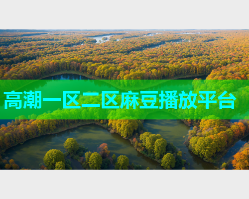高潮一区二区麻豆播放平台