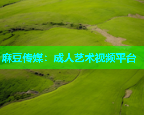 麻豆传媒：成人艺术视频平台