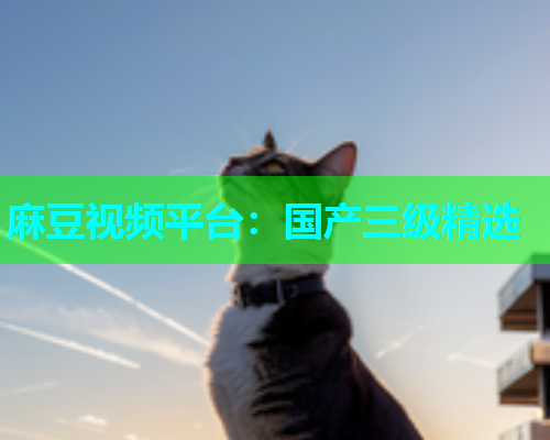 麻豆视频平台：国产三级精选