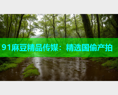 91麻豆精品传媒：精选国偷产拍