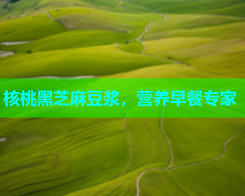 核桃黑芝麻豆浆，营养早餐专家