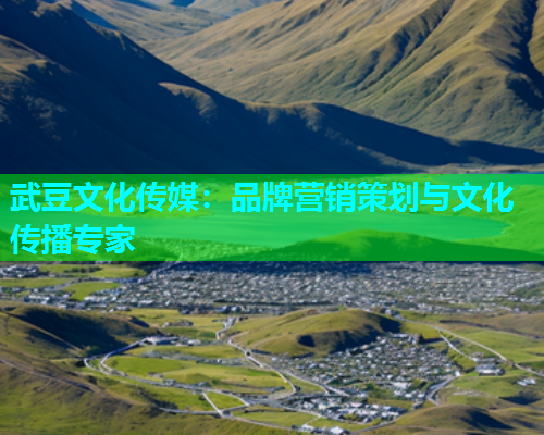 武豆文化传媒：品牌营销策划与文化传播专家