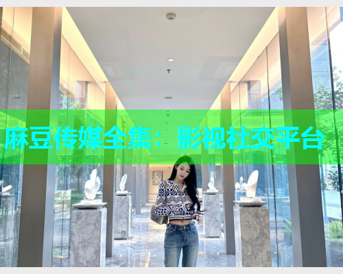 麻豆传媒全集：影视社交平台