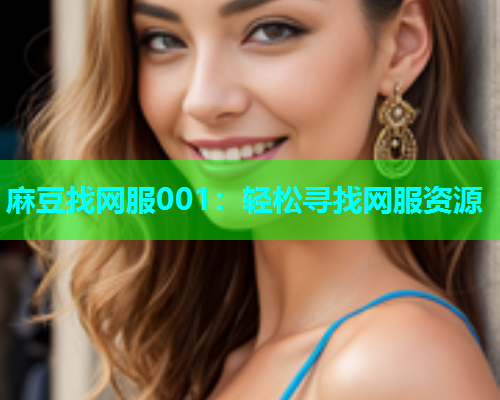 麻豆找网服001：轻松寻找网服资源