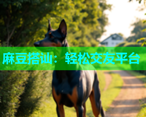 麻豆搭讪：轻松交友平台