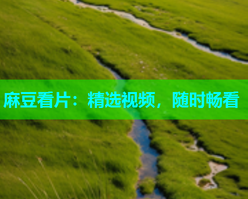 麻豆看片：精选视频，随时畅看