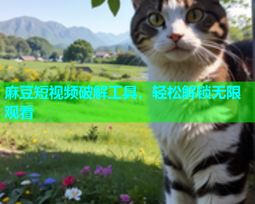 麻豆短视频破解工具，轻松解锁无限观看