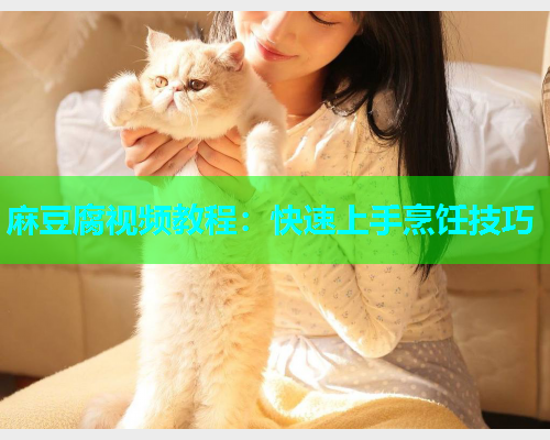 麻豆腐视频教程：快速上手烹饪技巧