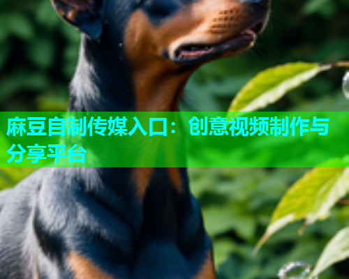 麻豆自制传媒入口：创意视频制作与分享平台