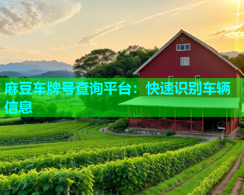 麻豆车牌号查询平台：快速识别车辆信息