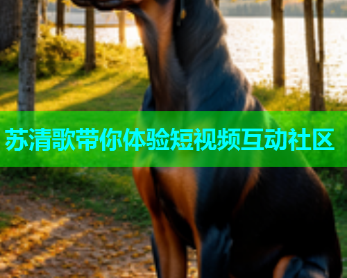 苏清歌带你体验短视频互动社区