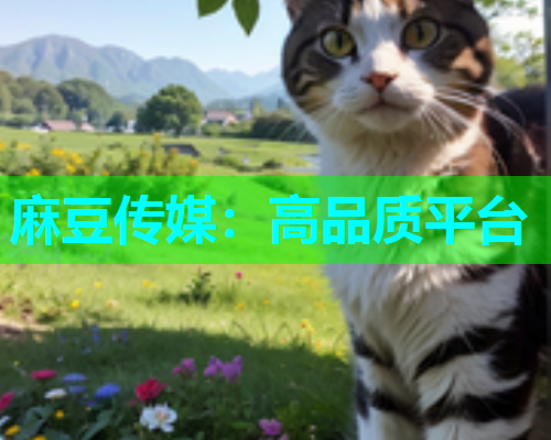 麻豆传媒：高品质平台