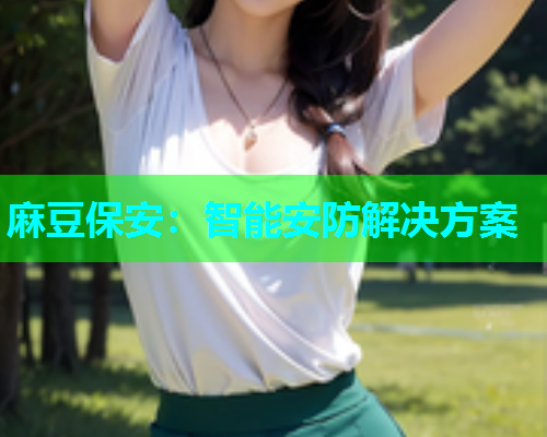 麻豆保安：智能安防解决方案