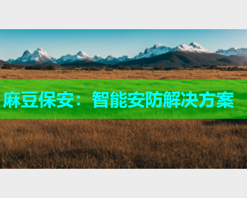 麻豆保安：智能安防解决方案