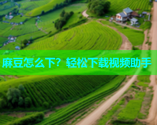 麻豆怎么下？轻松下载视频助手