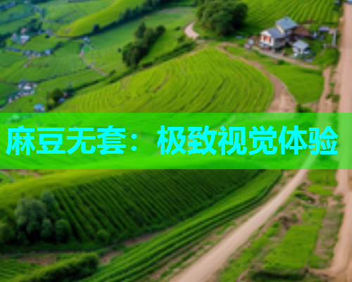 麻豆无套：极致视觉体验