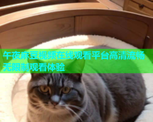 午夜麻豆视频在线观看平台高清流畅无限制观看体验