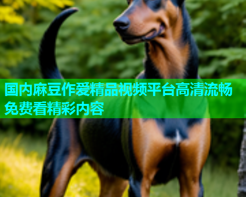 国内麻豆作爱精品视频平台高清流畅免费看精彩内容