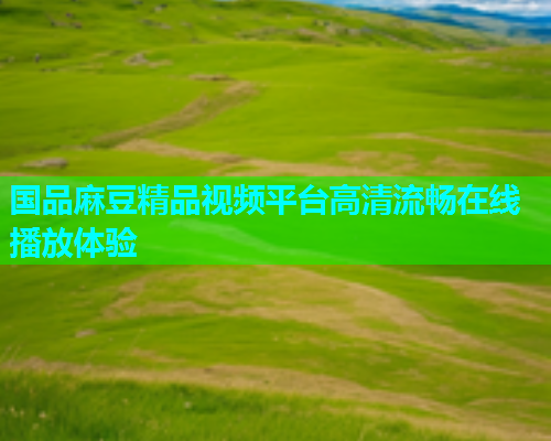 国品麻豆精品视频平台高清流畅在线播放体验