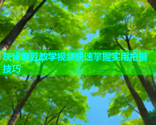 灰雀麻豆教学视频快速掌握实用拍摄技巧
