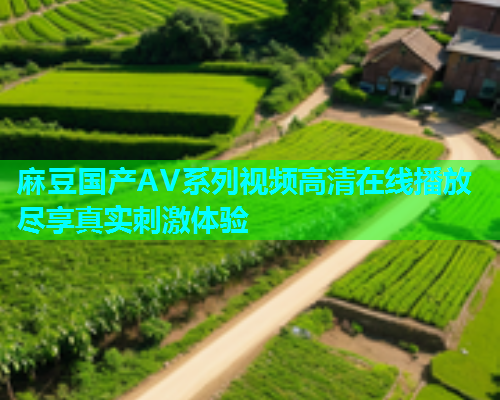 麻豆国产AV系列视频高清在线播放尽享真实刺激体验