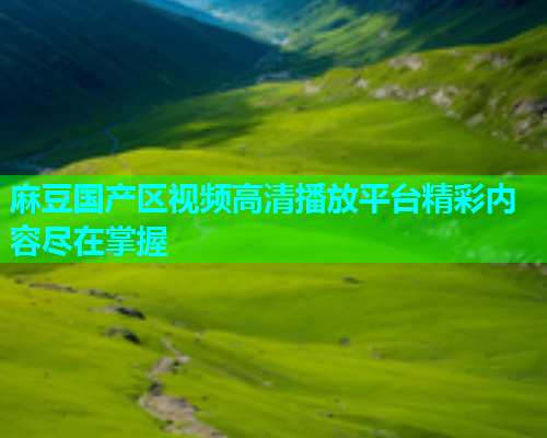 麻豆国产区视频高清播放平台精彩内容尽在掌握
