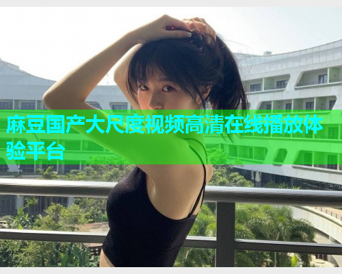 麻豆国产大尺度视频高清在线播放体验平台